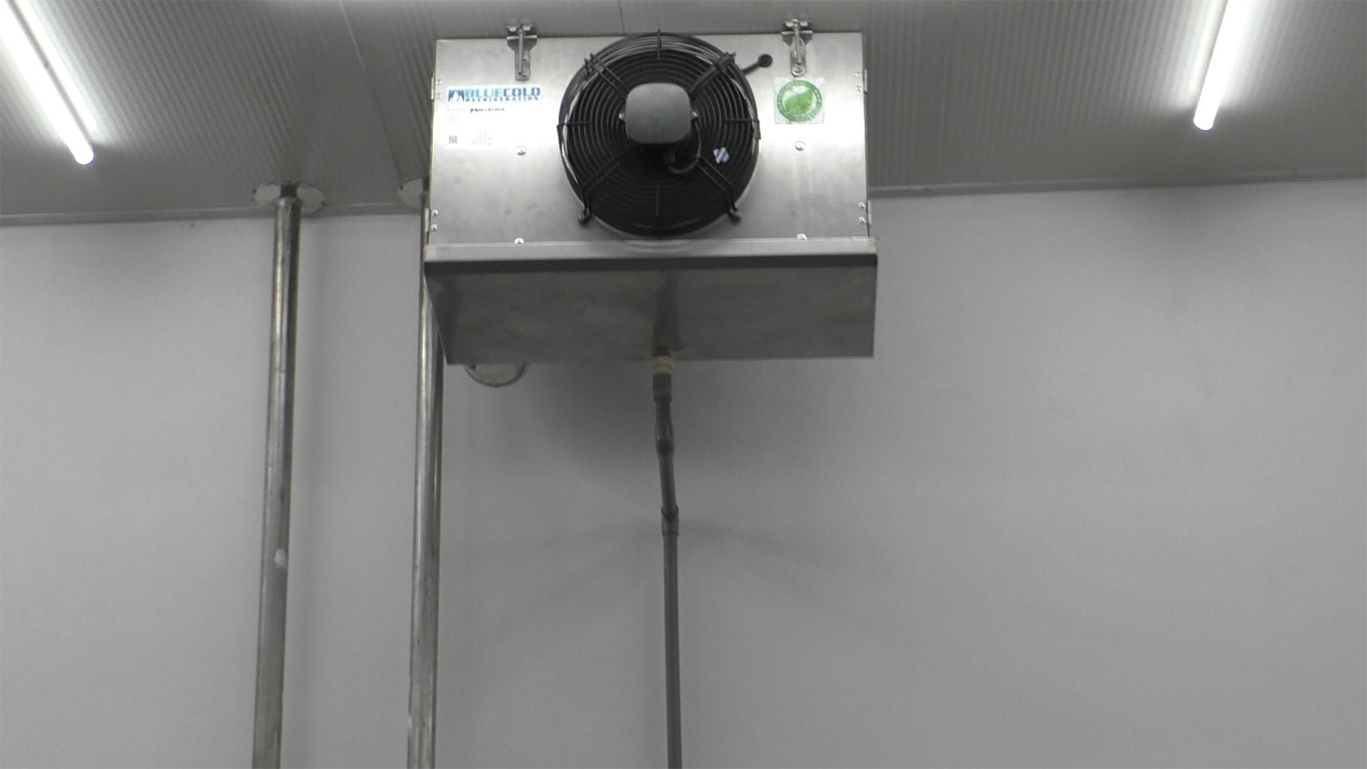 Meat and Chicken Freezer Room and Blast Freezer